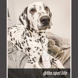 AFTERWALK Sanitizing Paw Gel Cleanser