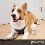 AFTERWALK Sanitizing Paw Gel Cleanser