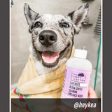 Lavender - Ultra Gentle Calming Dog Face Wash