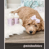 Lavender - Ultra Gentle Calming Dog Face Wash (4.4 fl oz)