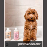Oatmeal - Ultra Gentle Soothing Dog Face Wash (4.4 fl oz)