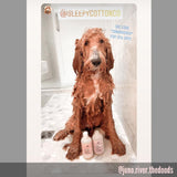 Rose Water - Ultra Gentle Hydrating Dog Face Wash (4.4 fl oz)
