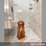 Rose Water - Ultra Gentle Hydrating Dog Face Wash (4.4 fl oz)