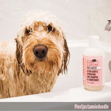 Rose Water - Ultra Gentle Hydrating Dog Face Wash (4.4 fl oz)