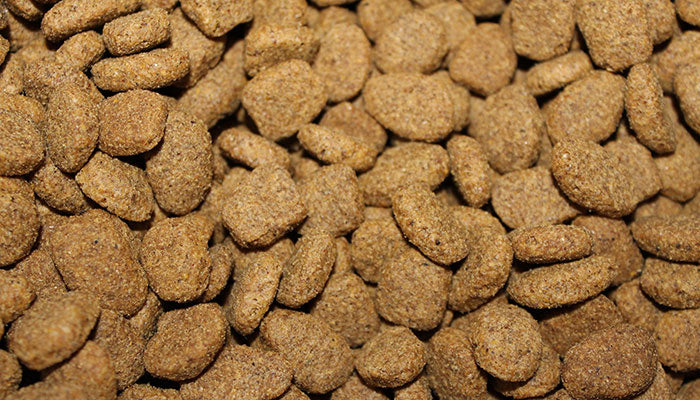 Human Grade Dog Food vs Feed Grade Dog Food