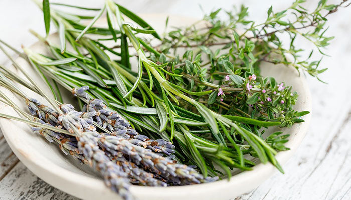 Rosemary: The Natural Bug Repellent