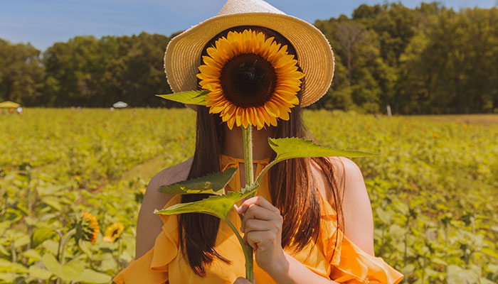 Keep Your Pup’s Coat Sleek with Sunflower Oil