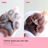 Medi-Clean (Sanitizing) Paw Gel Cleanser - Anti-Licking & Chewing Formula