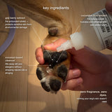 Dermo-Pure (Hypoallergenic) Paw Gel Cleanser - Zero-Fragrance Formula