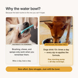 Breath-Reset (Neutralizing) Water Additive - Daily Solution