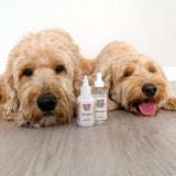 Oddly Sweet Dental Care Water Additive for Dogs