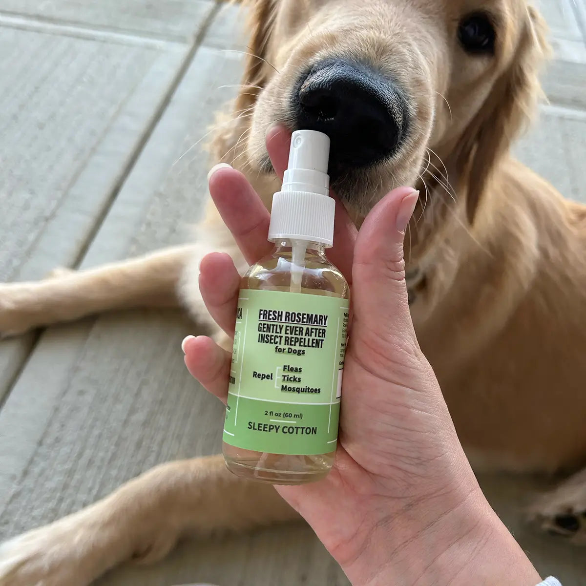 Bota-Guard (Rosemary) Insect Repellent - DEET-Free Formula