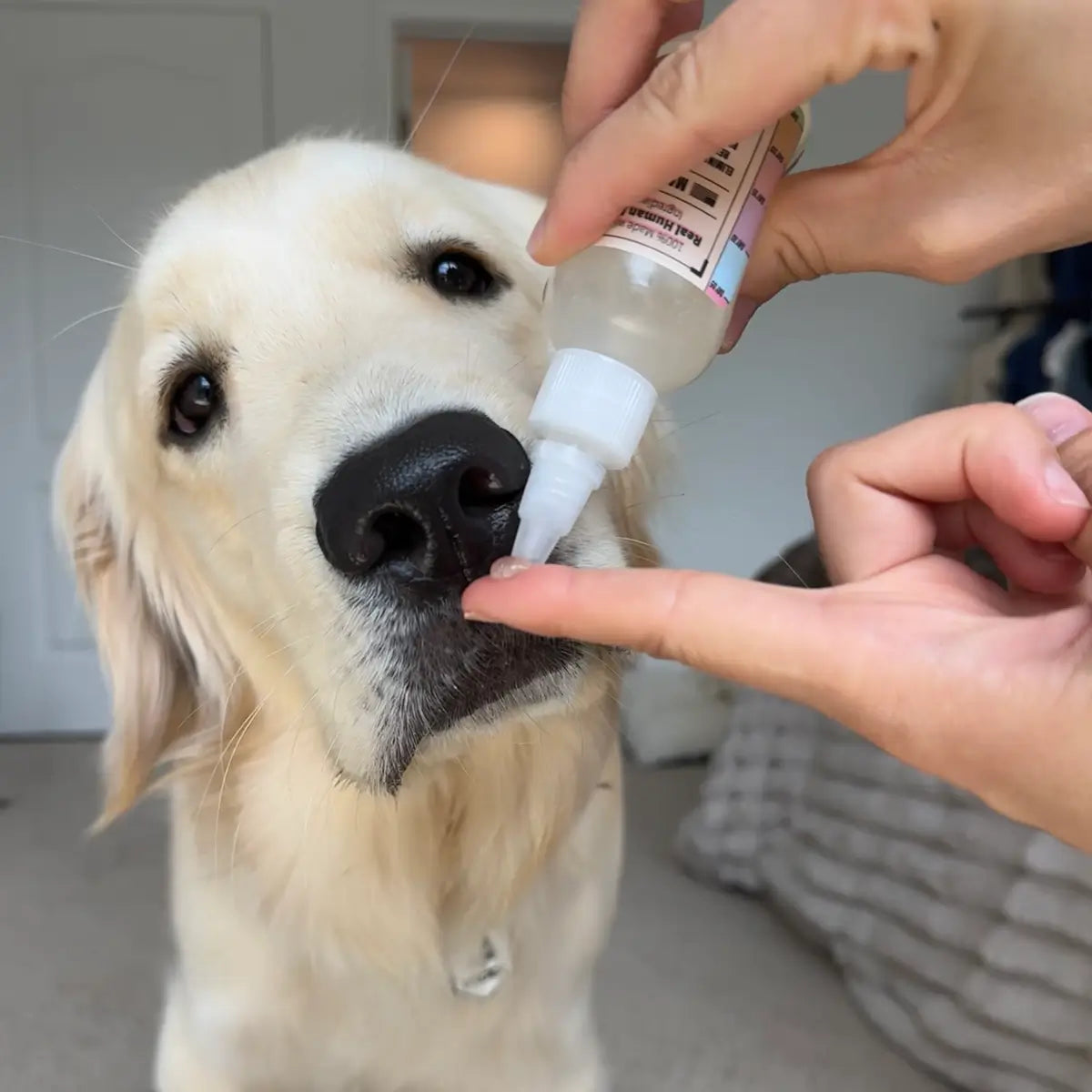 Tartar-Barrier (Protecting) Oral Gel - Post-Meal Solution