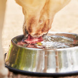 Oddly Sweet Dental Care Water Additive for Dogs