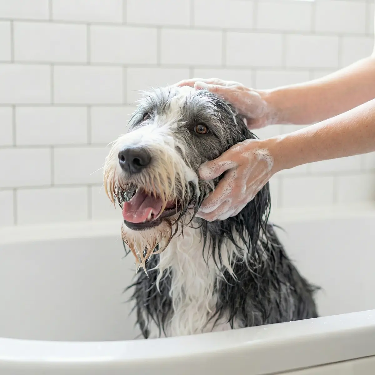Dermo-Clear (Soothing) Face Wash - Tear-Free Formula