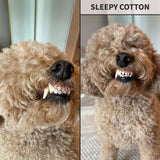 Oddly Sweet Dental Care Water Additive for Dogs