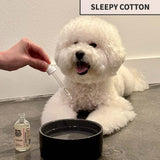 Oddly Sweet Dental Care Water Additive for Dogs