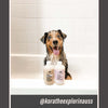 Lavender - Ultra Gentle Calming Dog Face Wash