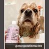 Lavender - Ultra Gentle Calming Dog Face Wash (Ambassador)