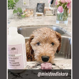 Lavender - Ultra Gentle Calming Dog Shampoo