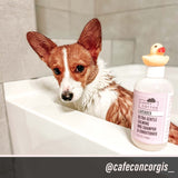 Lavender - Ultra Gentle Calming Dog Shampoo