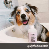 Lavender - Ultra Gentle Calming Dog Shampoo