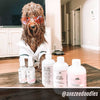 Wild Rose & Jasmine - Dog Refreshing Mist (Ambassador)