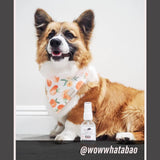 Gardenia & Lily - Dog Refreshing Mist