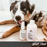 Lavender - Dog Refreshing Mist (Ambassador)
