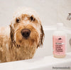 Rosemary & Sweetgrass - Ultra Gentle Repel Dog Face Wash