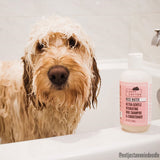 Rosemary & Sweetgrass - Ultra Gentle Repel Dog Face Wash (Ambassador)