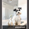 Oatmeal - Ultra Gentle Soothing Dog Shampoo