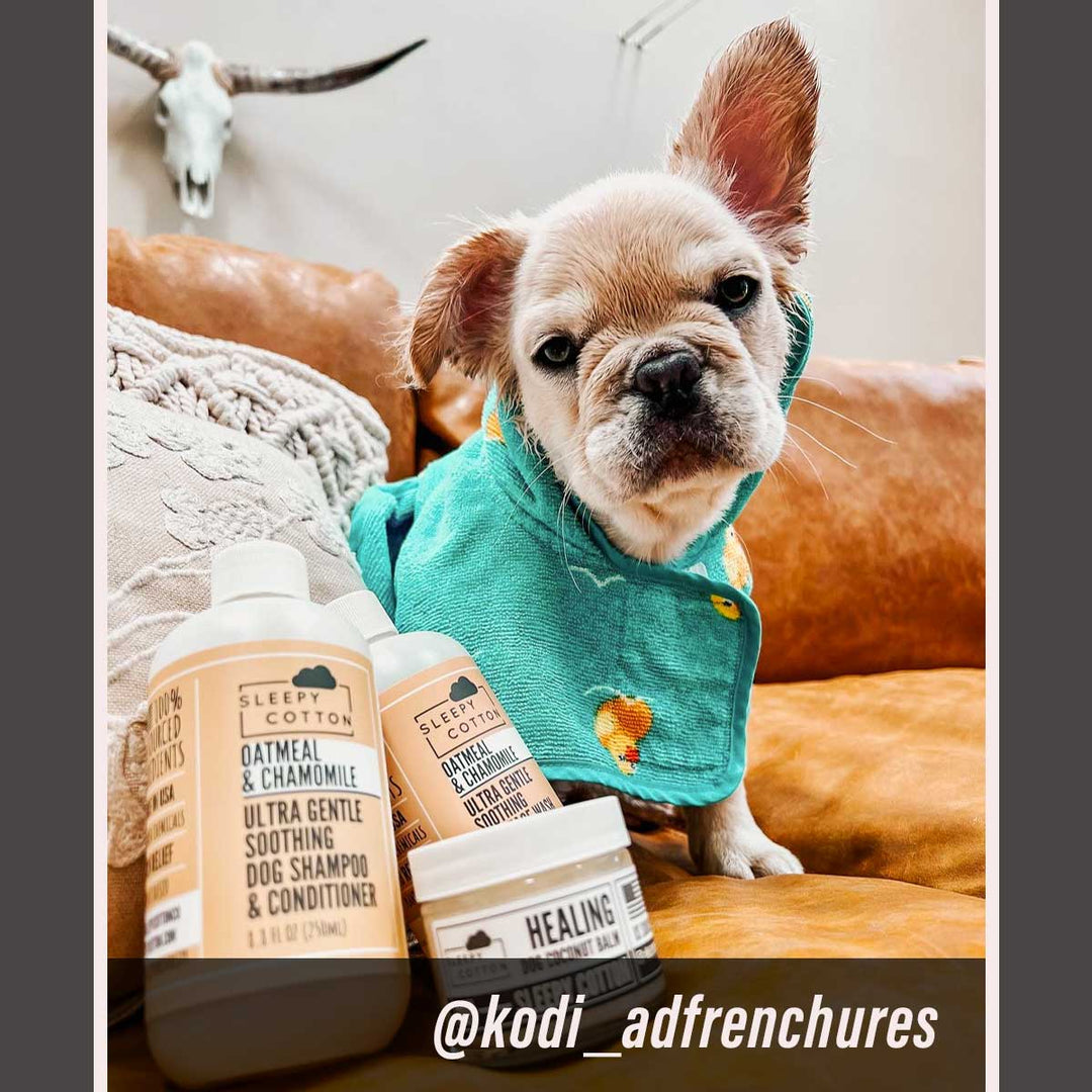 Curated visual reference: Picture Idea: Oatmeal Ultra Gentle Soothing Dog Shampoo