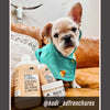Oatmeal - Ultra Gentle Soothing Dog Shampoo