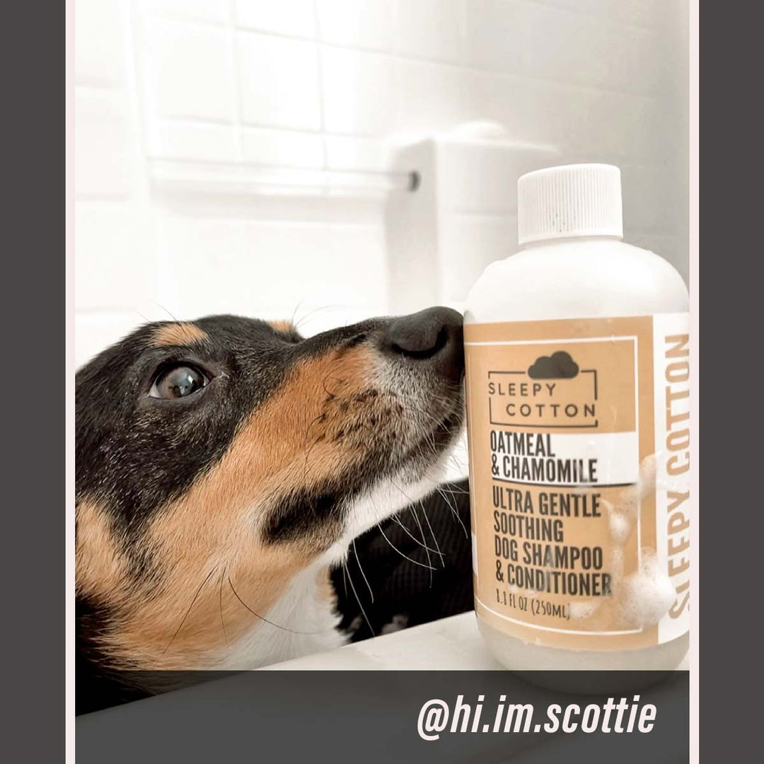 Photo inspiration: Gallery Detail: Oatmeal Ultra Gentle Soothing Dog Shampoo