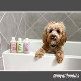 Rosemary & Sweetgrass - Ultra Gentle Repel Dog Shampoo