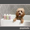 Rosemary & Sweetgrass - Ultra Gentle Repel Dog Shampoo (Ambassador)