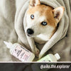 Rosemary & Sweetgrass - Ultra Gentle Repel Dog Shampoo (Ambassador)