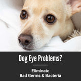 Rosemary & Sweetgrass - Ultra Gentle Repel Dog Face Wash (Ambassador)