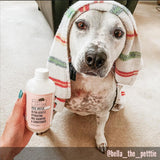Rose Water - Ultra Gentle Hydrating Dog Shampoo