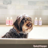 Strawberry - Ultra Gentle Revitalizing Dog Face Wash (Ambassador)