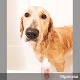 Strawberry - Ultra Gentle Revitalizing Dog Face Wash (4.4 fl oz)