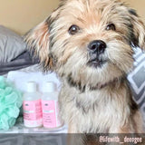 Strawberry - Ultra Gentle Revitalizing Dog Face Wash