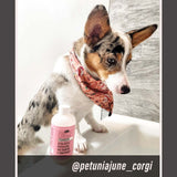 Strawberry - Ultra Gentle Revitalizing Dog Shampoo