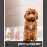 Strawberry - Ultra Gentle Revitalizing Dog Shampoo (Ambassador)