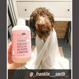 Strawberry - Ultra Gentle Revitalizing Dog Shampoo