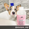 Strawberry - Ultra Gentle Revitalizing Dog Shampoo